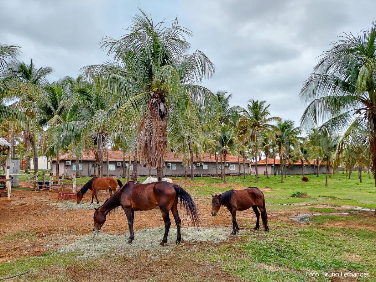 Campo Belo Resort Presidente Prudente Esterno foto